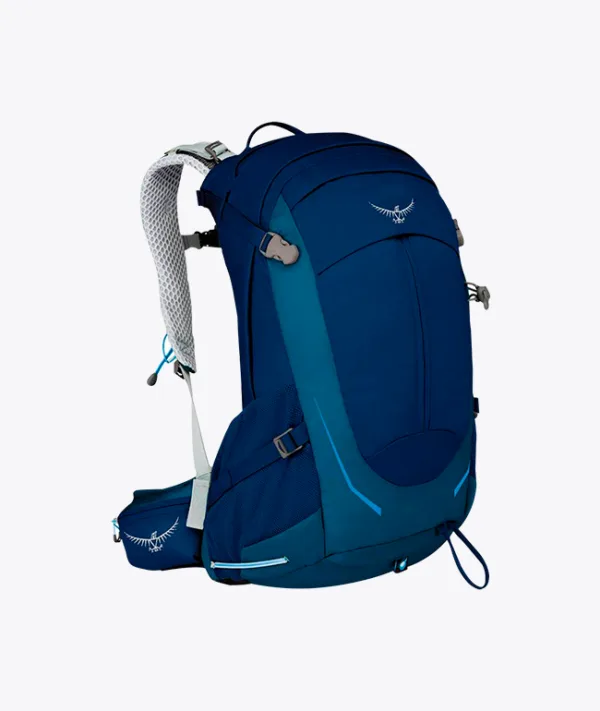 Another New Bag