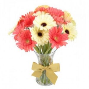 Consectetur adipiscing