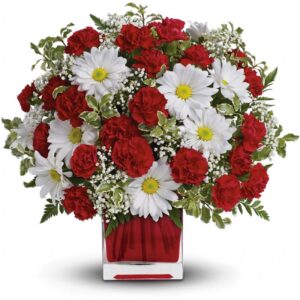 Sed luctus dui eu sagittis